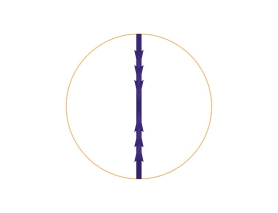 Honey Derma Thread Мезонити Dual Needle 21/110, L=420 mm SC type YRDN-SC-BL-02